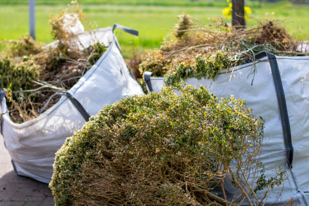 Best Electronics Removal Services  in Hinckley, MN