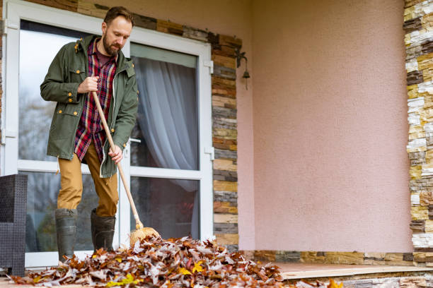 Best Electronics Removal Services  in Hinckley, MN